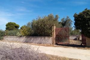 Terreno Marinella di Selinunte