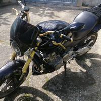 moto naked