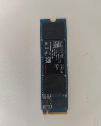 Sandisk SSD plus 250 GB NVMe