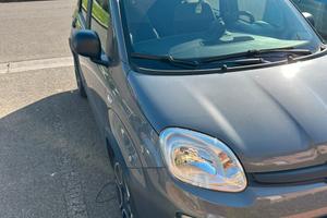 Panda 1.0 Hybrid City Life