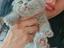 Immagine 2