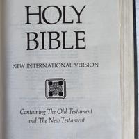 BIBBIA New International Bible PELLE