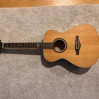 Chitarra Acustica EKO ntx