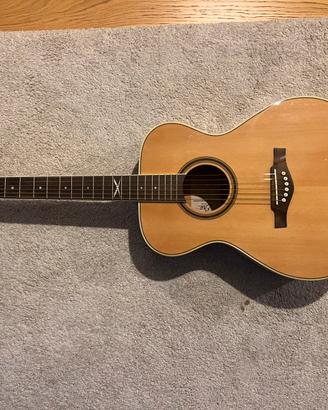 Chitarra Acustica EKO ntx
