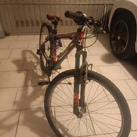 Bibicletta Mountain Bike per ragazzo 