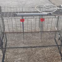 Gabbia per 3 galline
