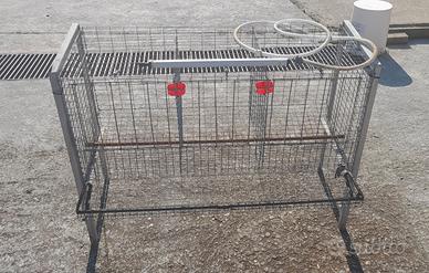Gabbia per 3 galline
