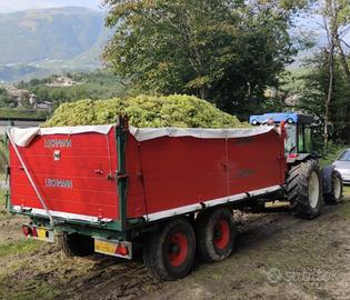 Rimorchio lochmann dumper frenatura idraulica