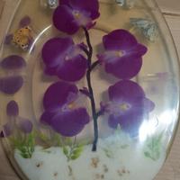 tavoletta wc serigrafata nuova mai usata