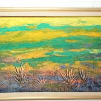 vendi