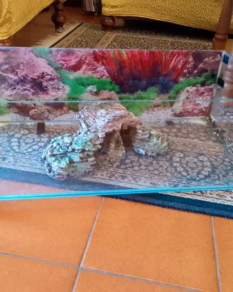 acquario per tartarughe 60x30 con Isola 
