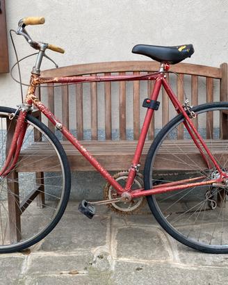 Bicicletta Citybike