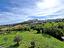 Immagine 11