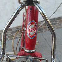 Bicicletta pieghevole 