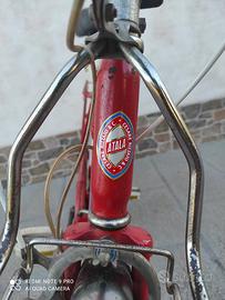 Bicicletta pieghevole 