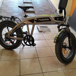 bici elettrica 
