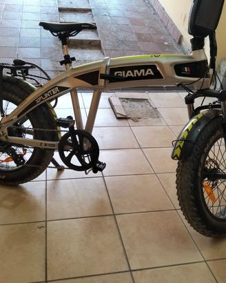 bici elettrica 