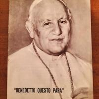 Libro/giornale "Benedetto questo Papa"