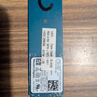 SSD NVMe WD SN520 256GB (Stato Critico/Per Test)