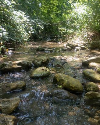 Terreno con due ruscelli perenni Majella