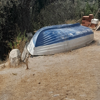 Barchino in vetroresina