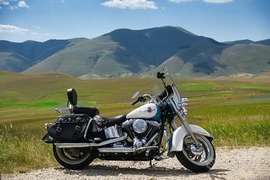 Harley Davidson Heritage Classic 103