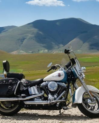 Harley Davidson Heritage Classic 103