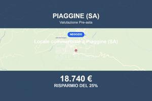 Immobile in asta di 3319 m² a Piaggine