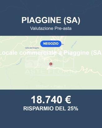 Immobile in asta di 3319 m² a Piaggine
