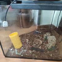 teca animali esotici /tartarughe ecc