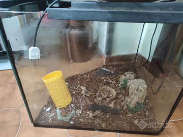 teca animali esotici /tartarughe ecc