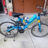 bici cannondale