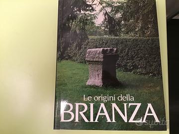 Le origini della Brianza
