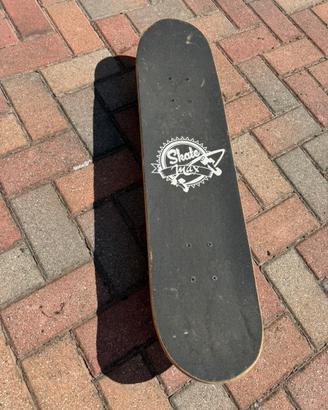 Skateboard