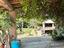 Immagine 12