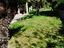 Immagine 15
