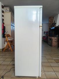 frigorifero + freezer