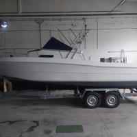 Fisherman americano 7.5 mt 350 cv con rimorchio