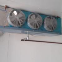 cella positiva e cella negativa