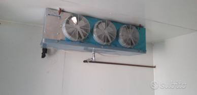 cella positiva e cella negativa