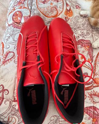 Scarpe