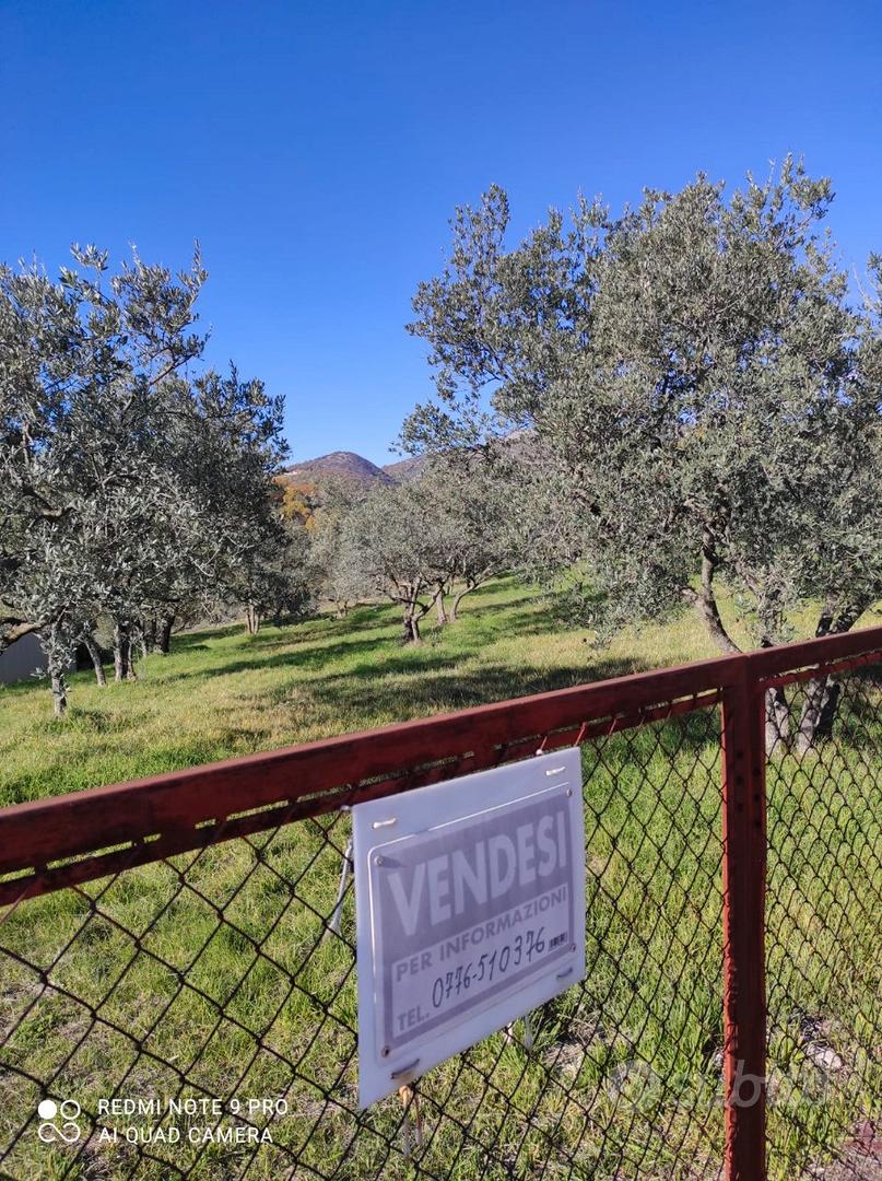 Terreno Agricolo Colleberardi - Vista 3