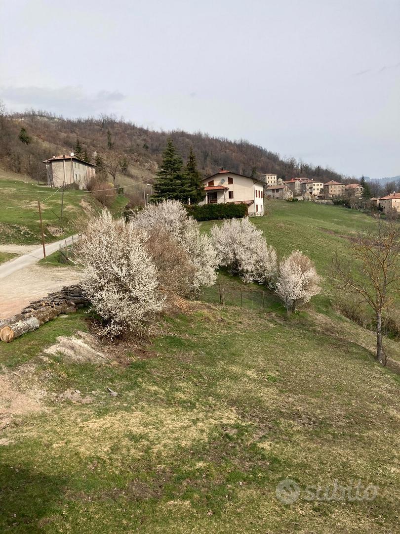 Casa di grandi dimensioni - Vista 4