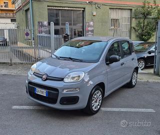 FIAT Panda 1.2 69 cv SOLO 50.000 KM