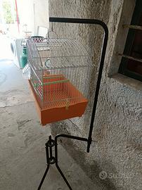 Cocorita