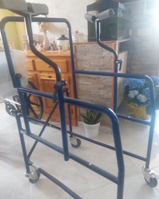 Deambulatore motorio