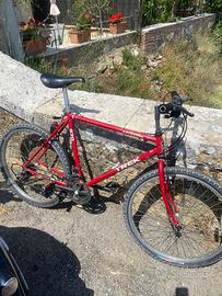 Mountain bike