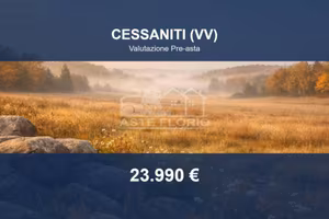 Immobile in asta di 13380 m² a Vibo Valentia
