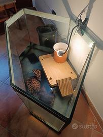 Tartarughe con acquario 220 litri