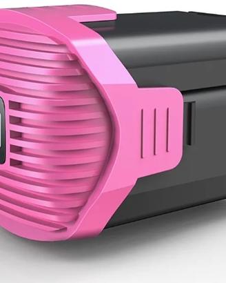 Batteria BuTure aspirapolvere senza fili